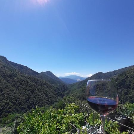 B&B La Locanda Del Cinghiale Aurano Экстерьер фото